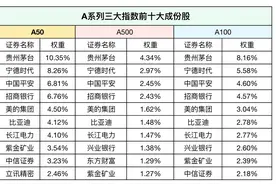 干货丨看懂“A系列”指数：中证A500、中证A100与中证A50图片