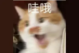 注意！10月1日起，火车票报销有新变化图片