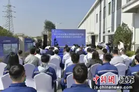南京江宁滨江开发区8个重大项目集中投产图片