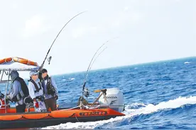 冬游海南⑨ | “鱼”你有约！当代人的过冬密码，海南很懂图片