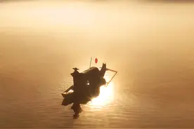 撒网“捕鱼”引游人图片