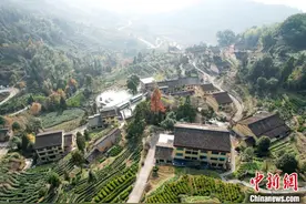 （高质量发展调研行）畲乡景宁：民族特色优势何以成为山村“发展经”？图片