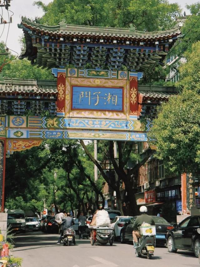 这几条林荫大道，藏着碑林动人的烟火与时光