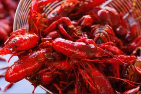 目前每天上市量三四千斤！青岛这一地大闸蟹、小龙虾养殖基地迎来收获图片