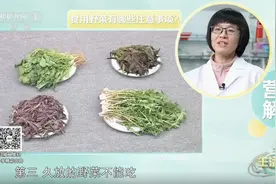 春天推荐这4种野菜，如何正确食用？请收藏图片