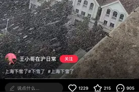 上海的2024初雪来啦？接下来还得冷，周末又有冷空气，真正的“数九寒天”来了图片