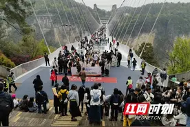 张家界大峡谷玻璃桥清明假期游人如织图片