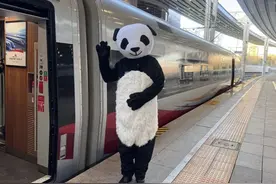 巴适！坐上“熊猫列车”上成都看熊猫去图片