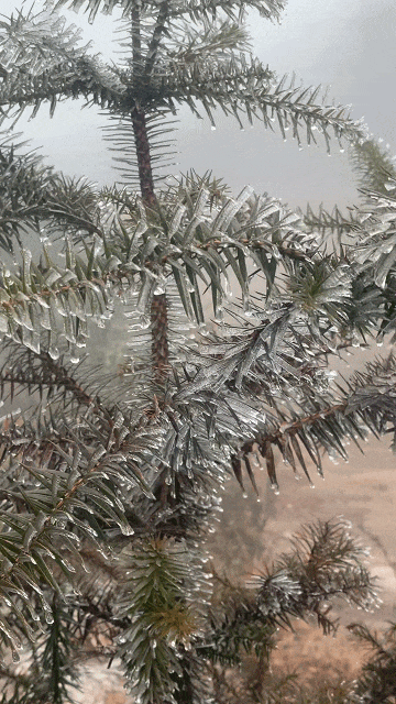 闽侯大湖雨凇美景“限时返场”