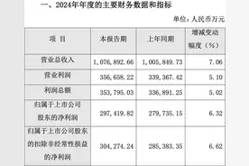 片仔癀2024年净利润同比增长6.32%，增速大幅放缓｜大鱼财经图片