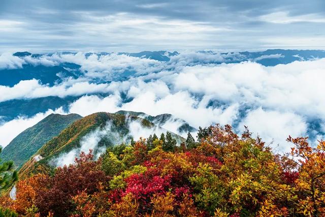 巫峡红透时，才懂中国秋天的壮阔