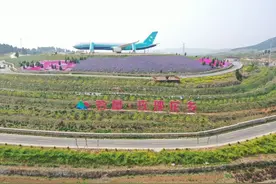 山东平阴：花香弥漫振兴路图片
