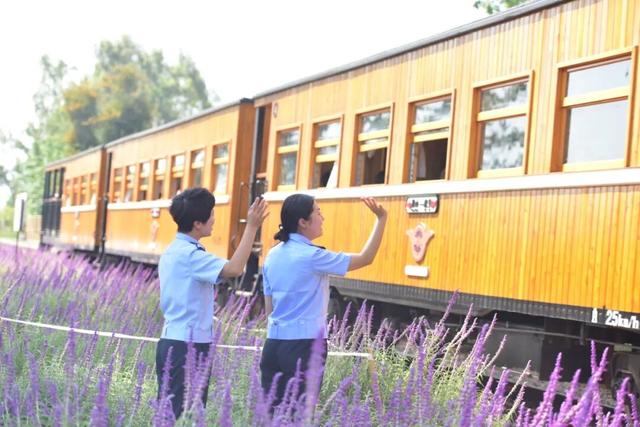 我们红河“好在的很”！来就给你安排旅游搭子