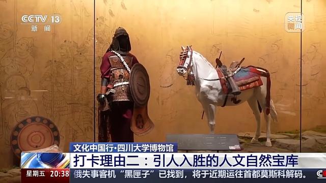 文化中国行丨这座博物馆像一部西南“百科全书” 里面有些啥宝藏？