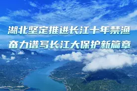 湖北坚定推进长江十年禁渔 奋力谱写长江大保护新篇章图片