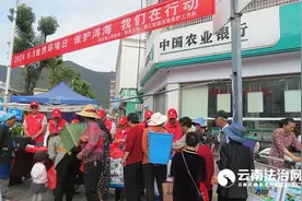 保护生态环境 共建美好家园——凤仪镇开展“六五”世界环境日宣传活动图片