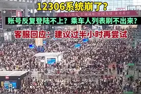 12306系统崩了？账号反复登陆不上？乘车人列表刷不出来？客服回应：建议过半小时再尝试图片