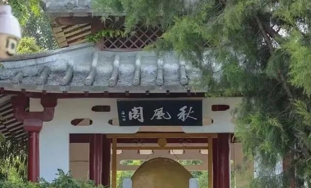 豫见两山 绿色答卷丨生态之旅——打卡“生物多样性魅力城市”南阳