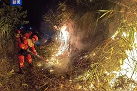 广东江门、肇庆同日突发山火，逾千人出动参与扑救！官方最新通报图片