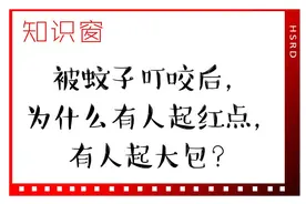 被蚊子叮咬后，为什么有人起红点，有人起大包？ | 知识窗图片