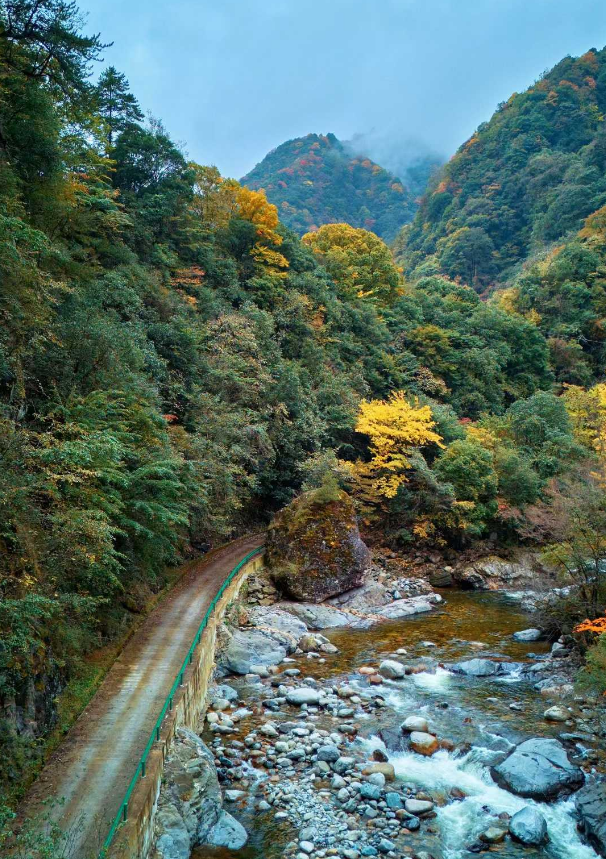 青睐绵阳 ‖ 小众彩林秘境！平武这条沟藏着最惊艳的秋天~