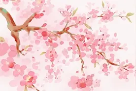 来减肥啦！宝山这家医院隆重推出国家卫健委力荐减肥妙方图片