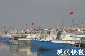 新鲜海鲜安排！盐城射阳近百艘渔船8月1日12点起锚开捕图片