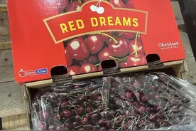 140元/斤！首批智利进口车厘子开卖，济南市场货源紧俏图片