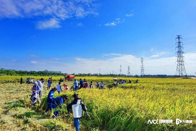 2025年文旅大事盘点：热气腾腾的文旅“超能力”