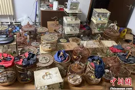 济南公安实施“黄河安澜·生态警务” 严打危害野生鸟类违法犯罪图片