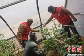 内蒙古四子王旗：104公里守边路上的奋斗与希望图片