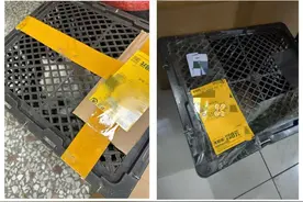 海报观察丨透气运输笼发货、有合作就能邮寄……活体宠物被装进了快递里图片