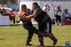 同样是摔跤，学问大不同图片