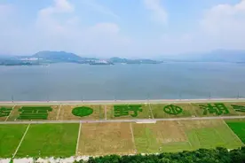 雪野水库旧史图片