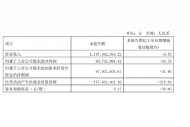 净利润同比下降40.37%！海利尔2024年一季度营利双降图片