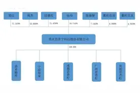思普宁科技拟A股上市 上市辅导渝企达32家图片