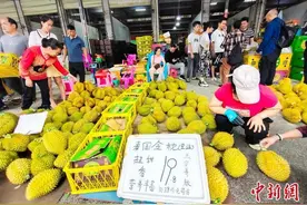 中国—东盟水果生意旺，榴莲降价热销图片