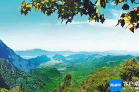 海南周刊｜跟着《探索新境》认识海南“宝藏”植物：热带雨林，不止青绿图片