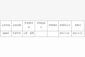 今起复牌！内蒙华电重组预案亮相，拟购风电公司相关股权图片