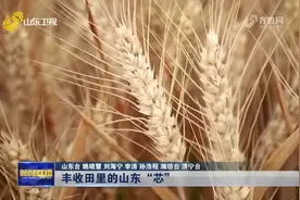 科技赋能，拥抱海内外市场！山东加速冲刺经济“半年考”图片