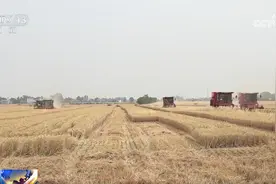 抢收、抢种、抢农时和好天气，从南到北各地多举措保障农业生产顺利进行图片