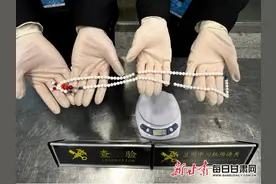 中川机场海关今年首次查获濒危红珊瑚及砗磲制品图片