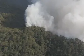 广东鹤山发生森林火灾，救援队伍奋战十数小时扑灭图片