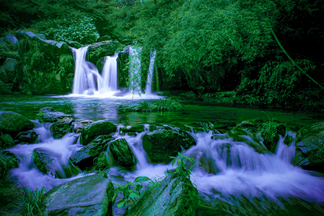 一花一瀑一云烟，庐山春意正当时
