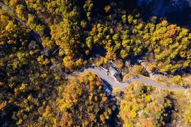 持续一个月！涉及栾川这些路段图片