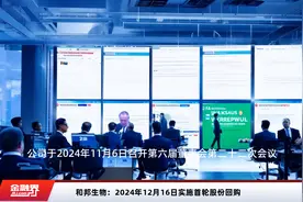 和邦生物：2024年12月16日实施首轮股份回购视频封面