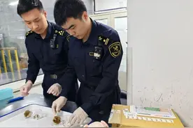 别乱买！截获量猛增200%，有“异宠”可致成年人心脏骤停图片