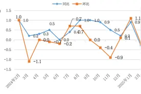 济南2月份居民消费价格同比下降0.3%图片