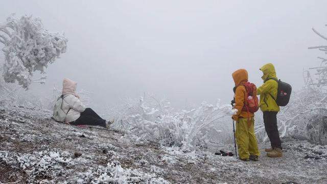 冬日限定！贵州的雾凇秘境藏不住了