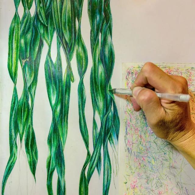 他初中毕业后终身不婚，荒野舍命工作20年，被一群博士封神